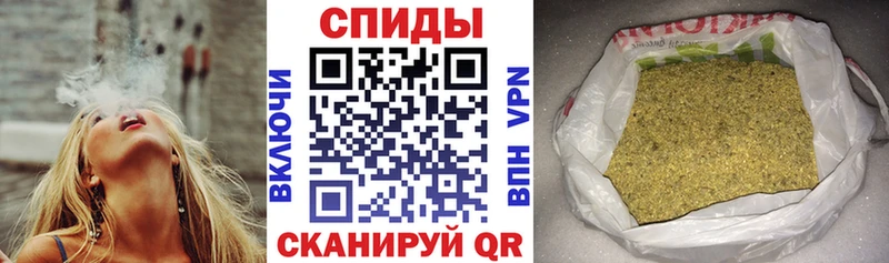 закладки  Курчалой  Бутират BDO 