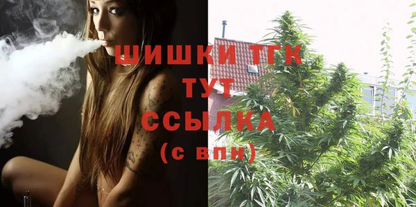 spice Вяземский