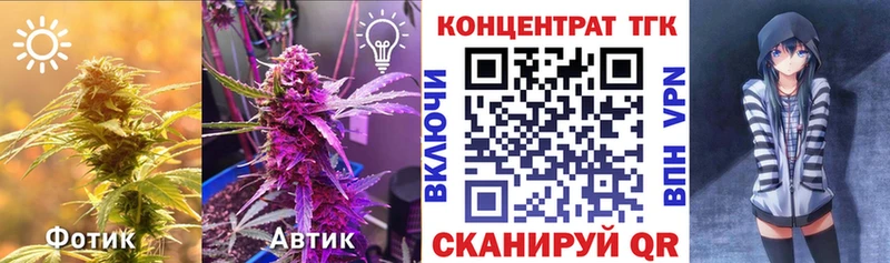Дистиллят ТГК THC oil  Курчалой 