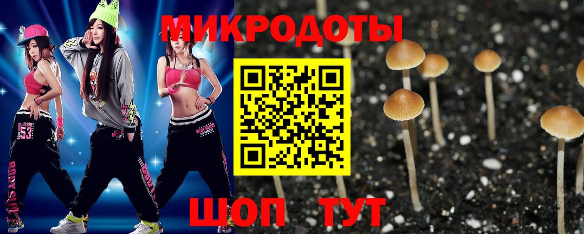 Галлюциногенные грибы Cubensis  Вход с VPN  Курчалой 